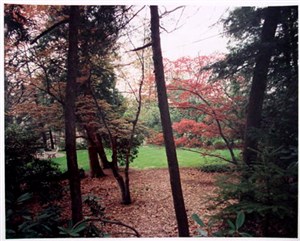 Image description is not available for 2014.008